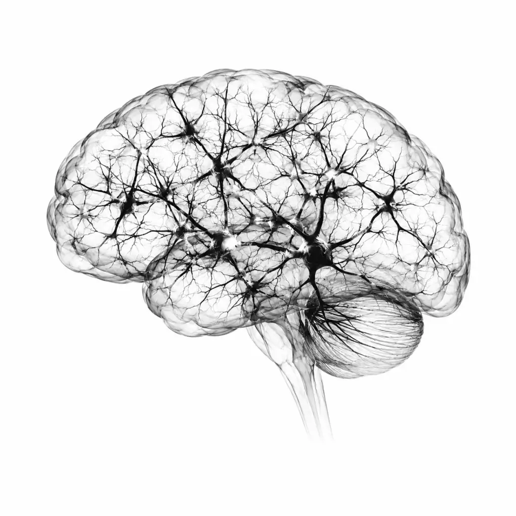 EXOMIND Neuromodulation